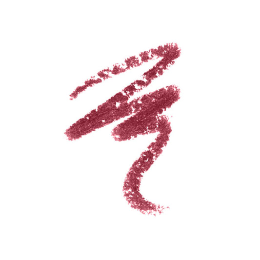 AMY'S Lipliner Pencil No 041